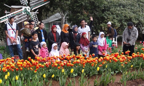 Tulip Festival 2010